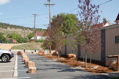 New Trees on High Street